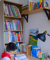 ת���µ�����