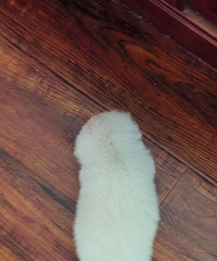 ����ת��