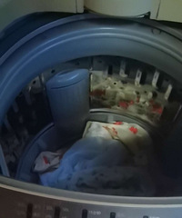 ����7kkgϴ�»�300����������