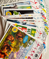 ��������24��