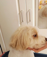 ������������