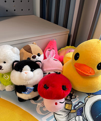 ����͸ɾ��������