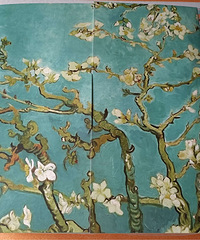 ��ת�ؼ�����ë���²����