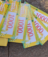 ���������ȯ