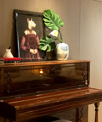 ���ú����������