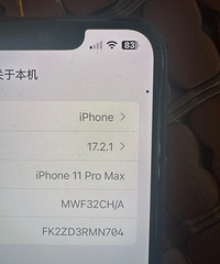 ƻ��11promax 256g