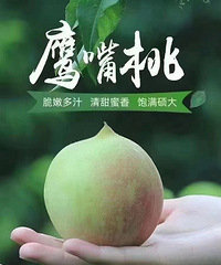 �Լҹ�԰ӥ����