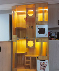 ����ʵľè�����