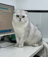 è��������