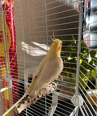 �ŷ����Ĺ���ת��