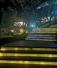 �ͼ�ת��Ƚ�ҰӰ�������˽���٤��