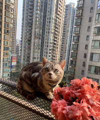 ����������