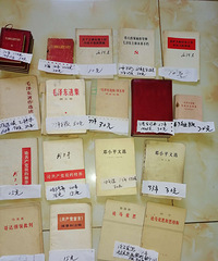 ëү��ѡ����������