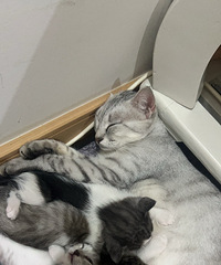 �������