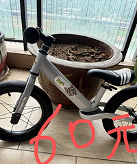 ƽ�⳵���˴�����