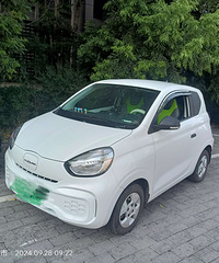 ������С�糵����