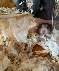 �������ܵ�+һ��װ�����