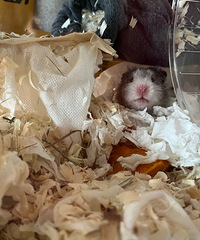 �������ܵ�+һ��װ�����