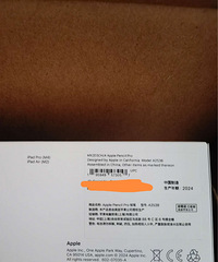 apple pencil proƻ����д��