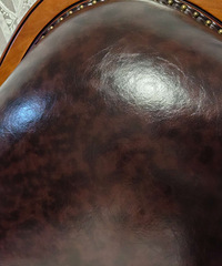 ת��������Ƥ��ʽɳ��