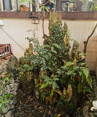 ����װ�ޣ�ת�ü�ɽ