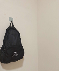 ȫ��δ��ⱳ��