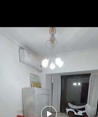 ת��ʵľ�����ͯ��