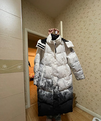 ��˾�ǽ���ѩɽ�������޷�