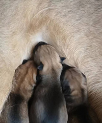 ����С�̹��Ŀ�����������