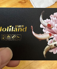 ת���������ѹ�Ӣ���⿨