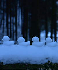 ת�ð��ϰ���Сѧָ��