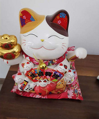 װ��Ʒ������ͼۣ�