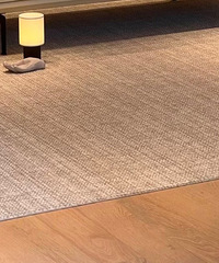 ȫ�µ�̺��������������