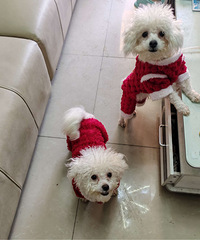 ���۱��ܱ���