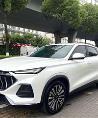 2021���ŷ��X5 2021�� 1.5T ˫��