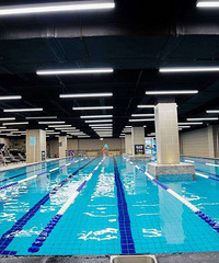 ԧ�캣�ɽ���������ο�ת��