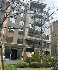 ���������Ư������