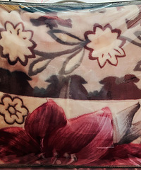 ȫ��ɺ����ë̺