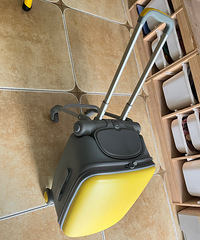 ��ͯ��������������