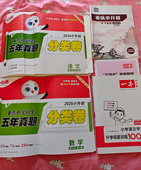 娃的xsc结束,清书柜,各种课辅资料和课外书,合适就出