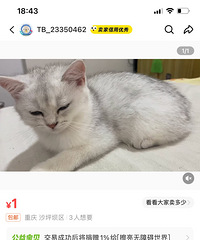 ����è��