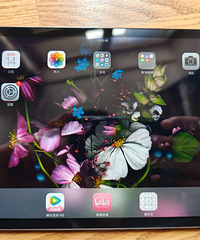 自用iPad mini 1成色很新