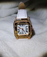 ȫ��ŮʿʯӢ��һ��