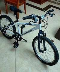 �Ͽ���20��ų���ɽ�����г� Rockride st120