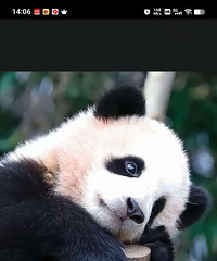 ���ø��ٴ�����