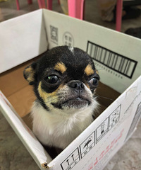 �����޵ܵ�1��