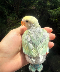 ��ĵ����������