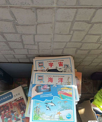 1-6�꼶��������飬9.9��