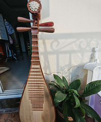 �������ã��к��٣�