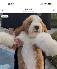 ��׻���β�޹�Ȯ��Ŀǰ3���£�һ�����磬�Լҷ����ģ���������